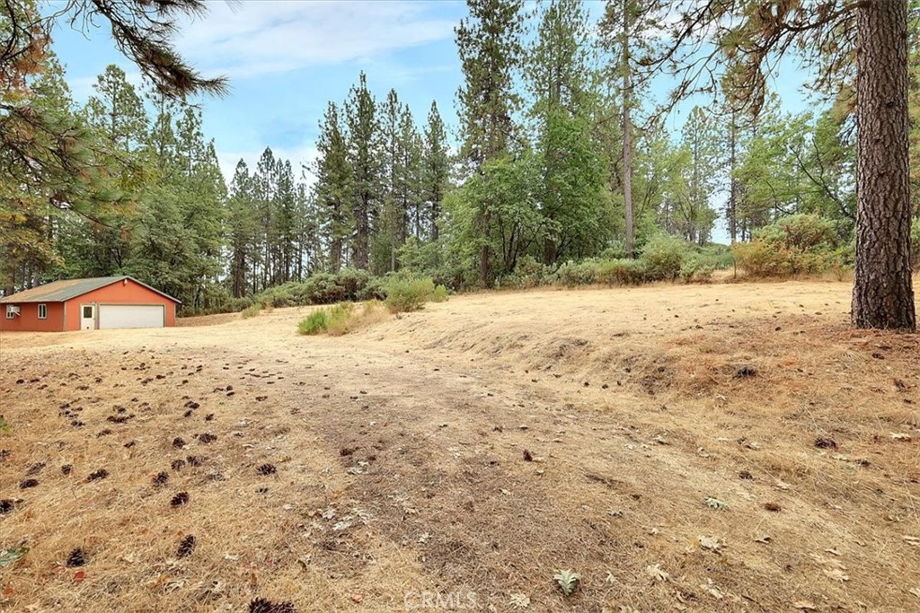 13233 Dixon Hill Road Oregon House, CA 95962 - Photo 48 of 60 a view of a yard covered with snow in front of house
