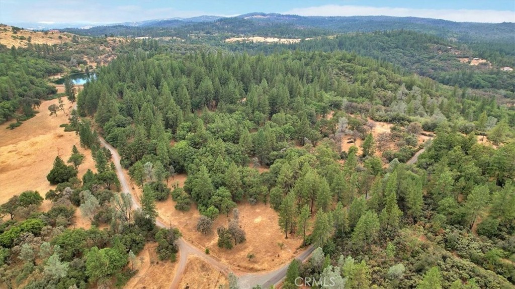 13233 Dixon Hill Road Oregon House, CA 95962 - Photo 54 of 60