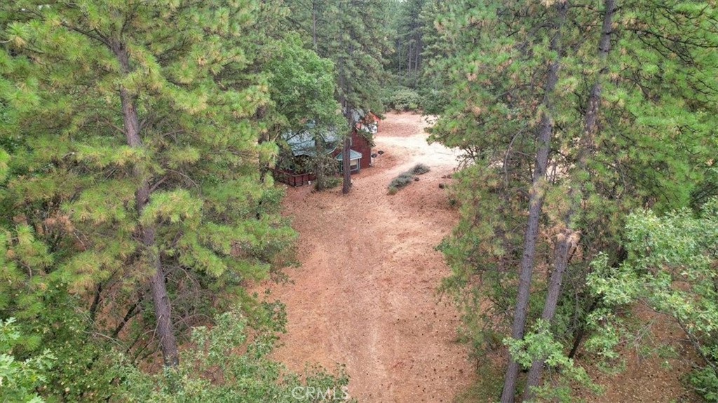 13233 Dixon Hill Road Oregon House, CA 95962 - Photo 56 of 60 a view of a yard with plants and trees