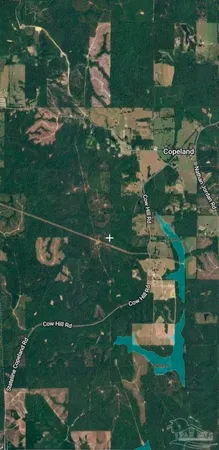 $75,000 | 0 Cow Hill Road, Millry, AL 36558