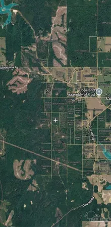 $75,000 | 0 Cow Hill Road, Millry, AL 36558