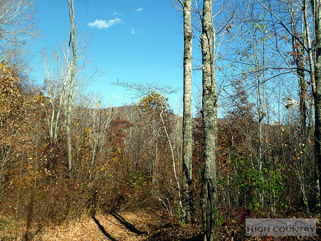 Diamond Ridge Boone, NC 28607 - Photo 3 of 9