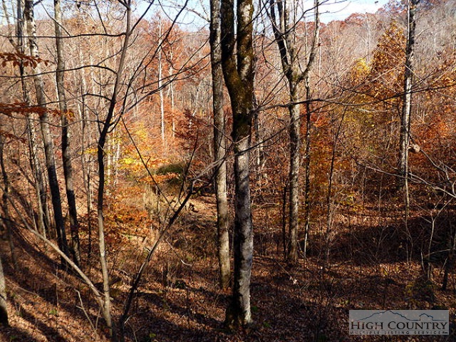 Diamond Ridge Boone, NC 28607 - Photo 4 of 9