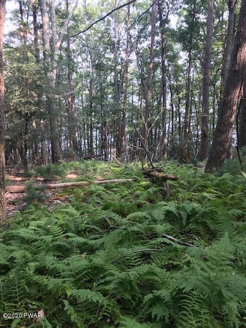 Coutts Point Drive Paupack, PA 18451 - Photo 3 of 22