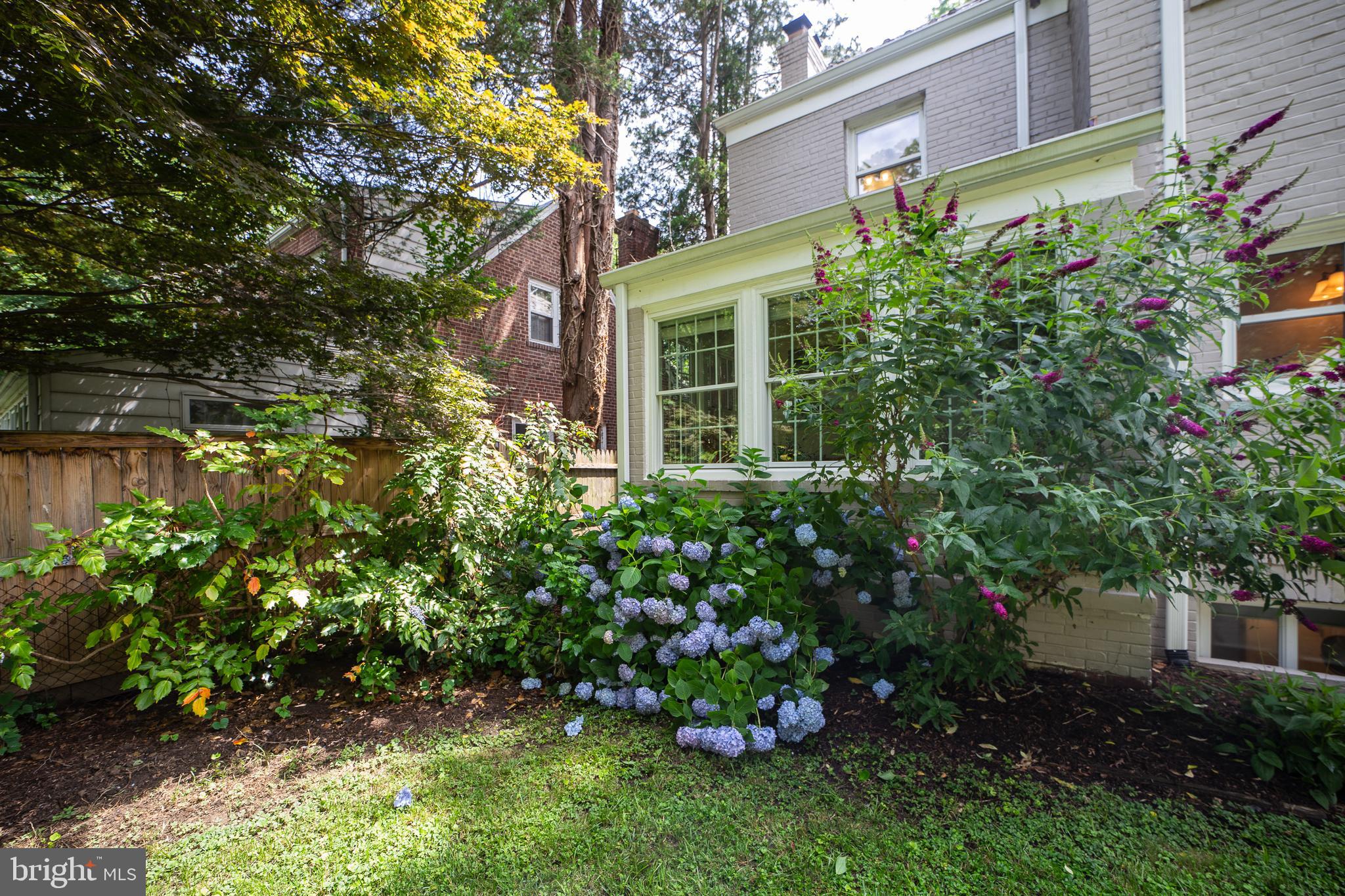 5348 29th Street Northwest Washington, DC 20015 - Photo 35 of 39 The mature plantings are incredible