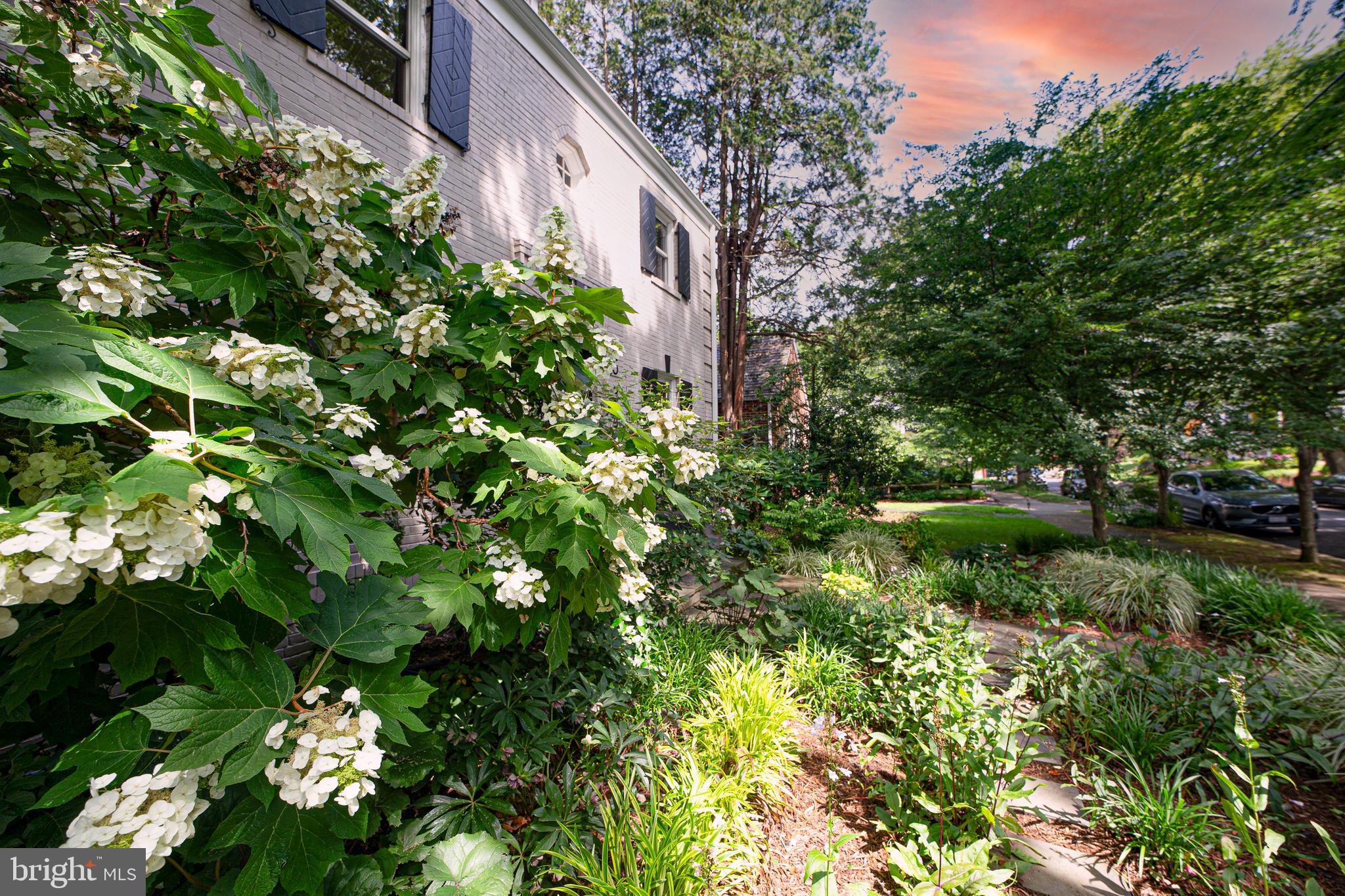 5348 29th Street Northwest Washington, DC 20015 - Photo 38 of 39 Front garden has additional beautiful plantings