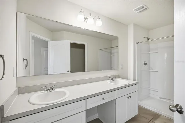 a bathroom with a sink a mirror and a shower