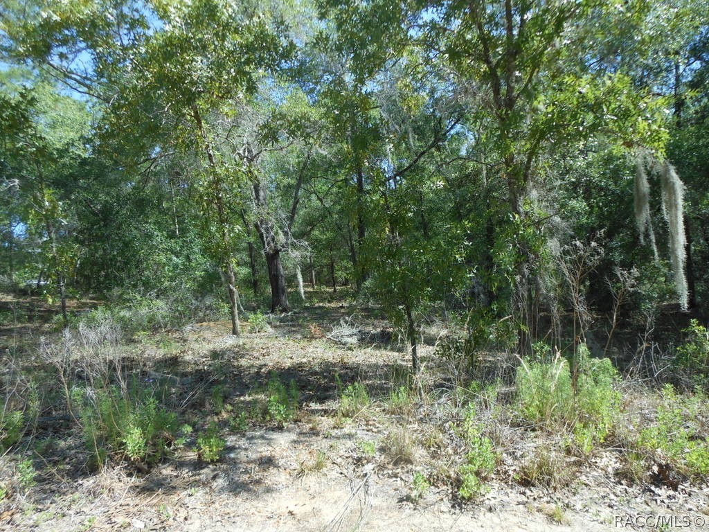 5225 East Prentice Lane Inverness, FL 34452 - Photo 2 of 3