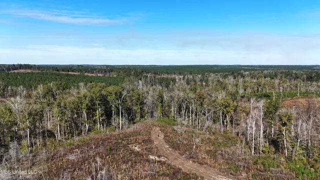 $178,815 | Little Rock County Line Road, Union, MS 39365