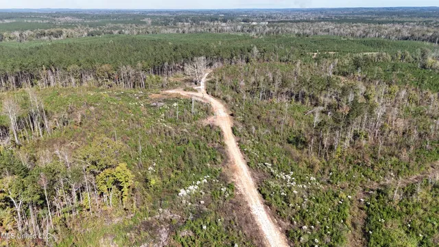 $178,815 | Little Rock County Line Road, Union, MS 39365