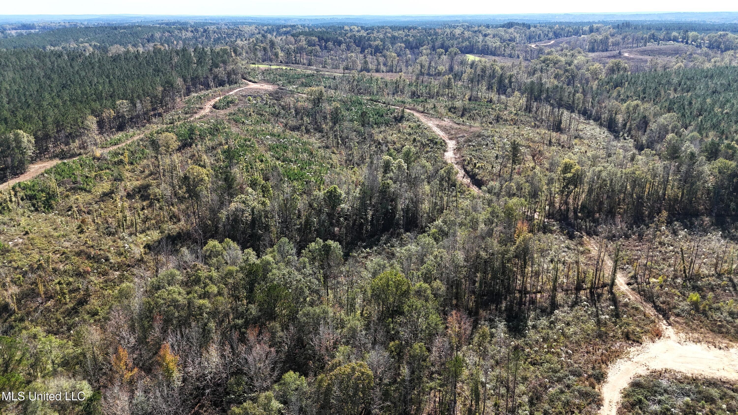 Little Rock County Line Road Union, MS 39365 - Photo 8 of 23 Ross 8514
