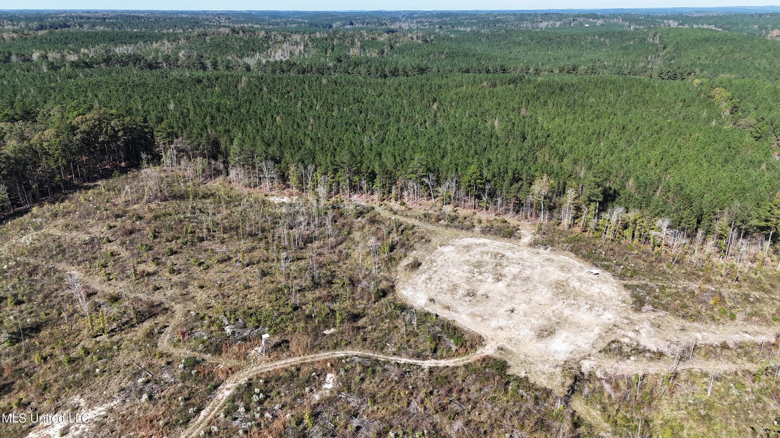 Little Rock County Line Road Union, MS 39365 - Photo 9 of 23 Ross 8513