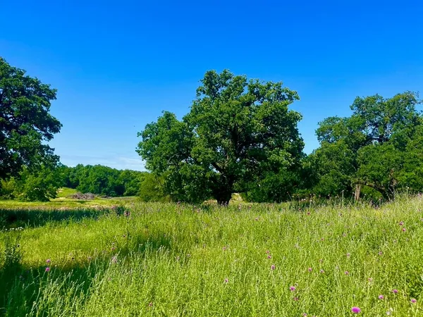 $79,900 | Lot 69 Kilkenny Road, Poolville, TX 76487