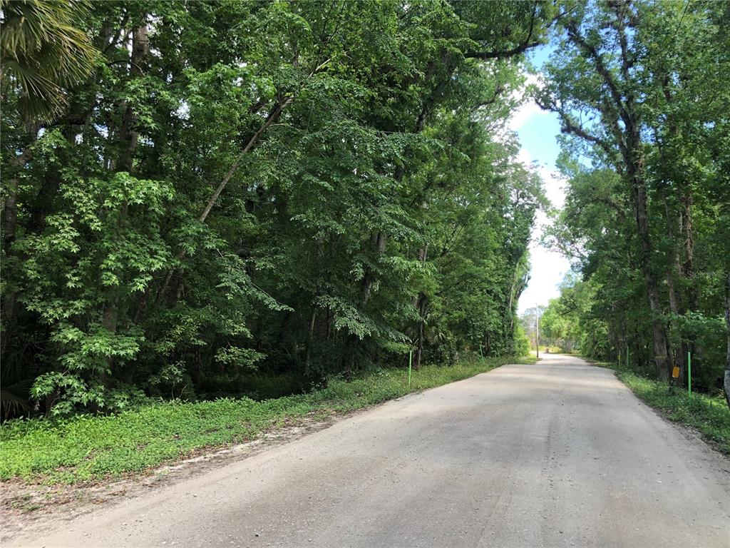 a view of a road with a trees