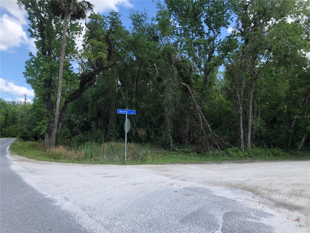 Keefer Trail Kissimmee, FL 34747 - Photo 11 of 12 a view of a park