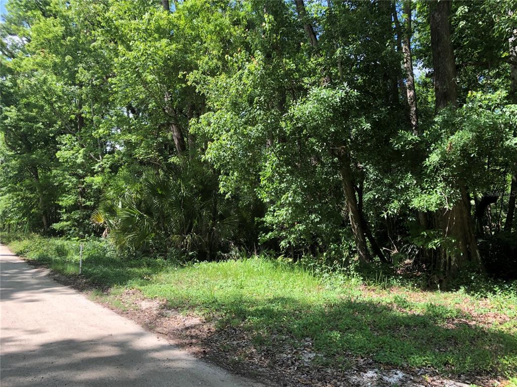 Keefer Trail Kissimmee, FL 34747 - Photo 4 of 12 a view of outdoor space and green space
