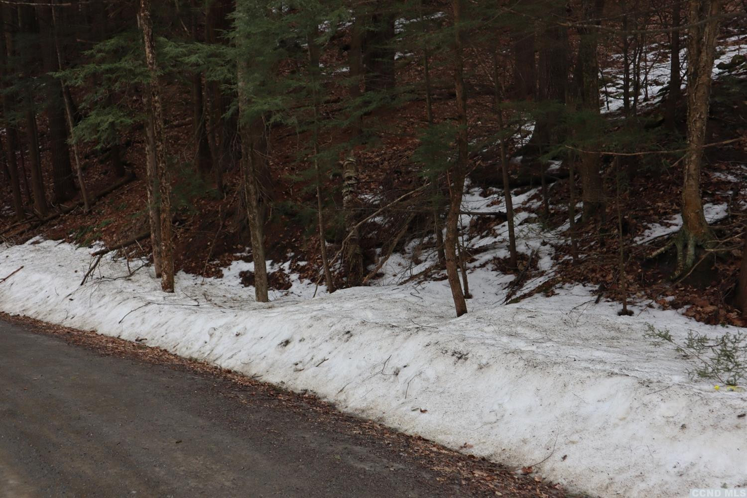 155 Shaver Road Canaan, NY 12029 - Photo 3 of 5 a view of a backyard of a house