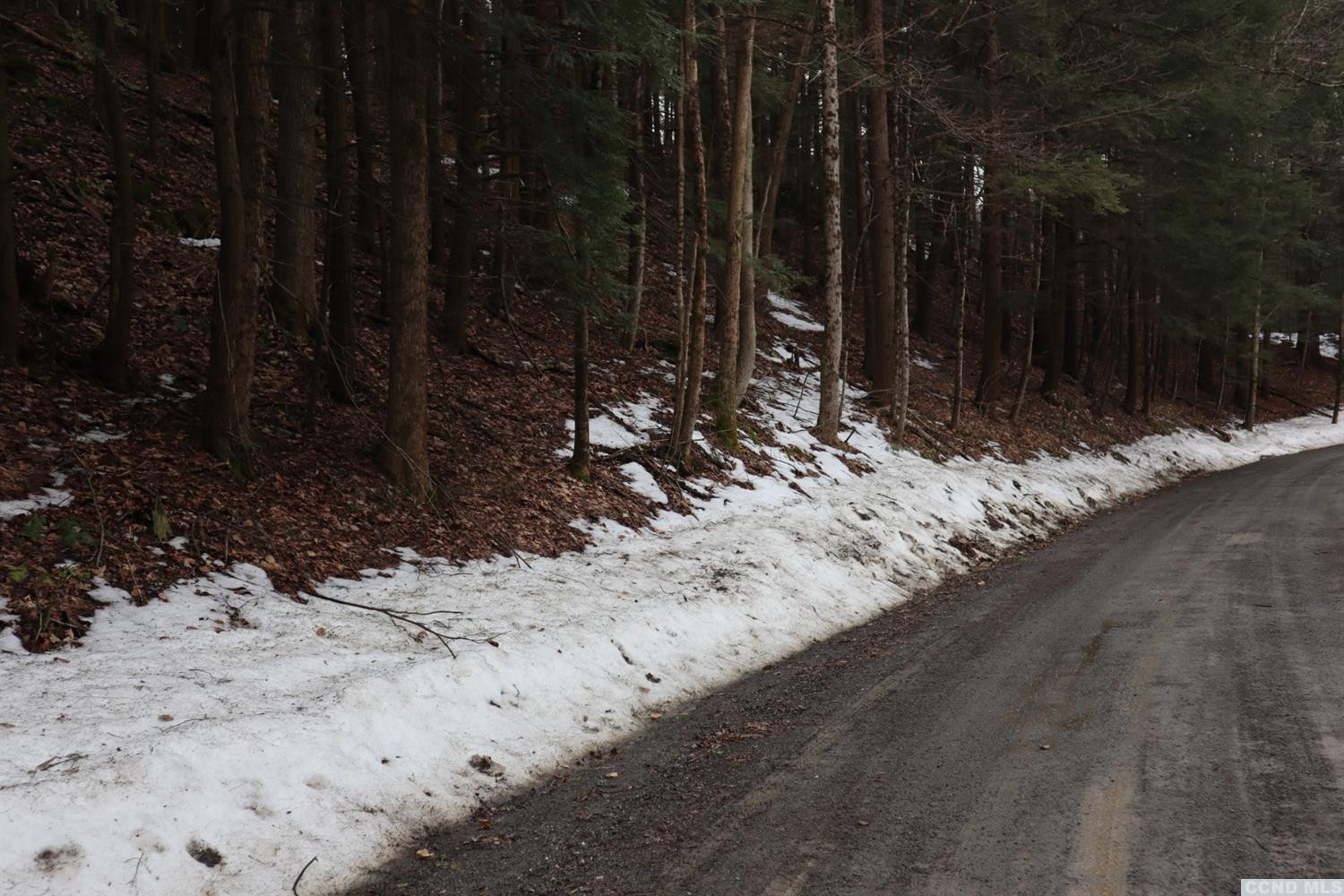 155 Shaver Road Canaan, NY 12029 - Photo 4 of 5 a view of outdoor space with trees