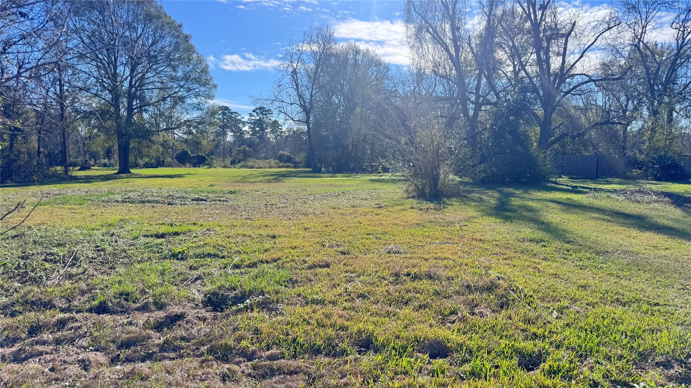 a view of a yard with trees