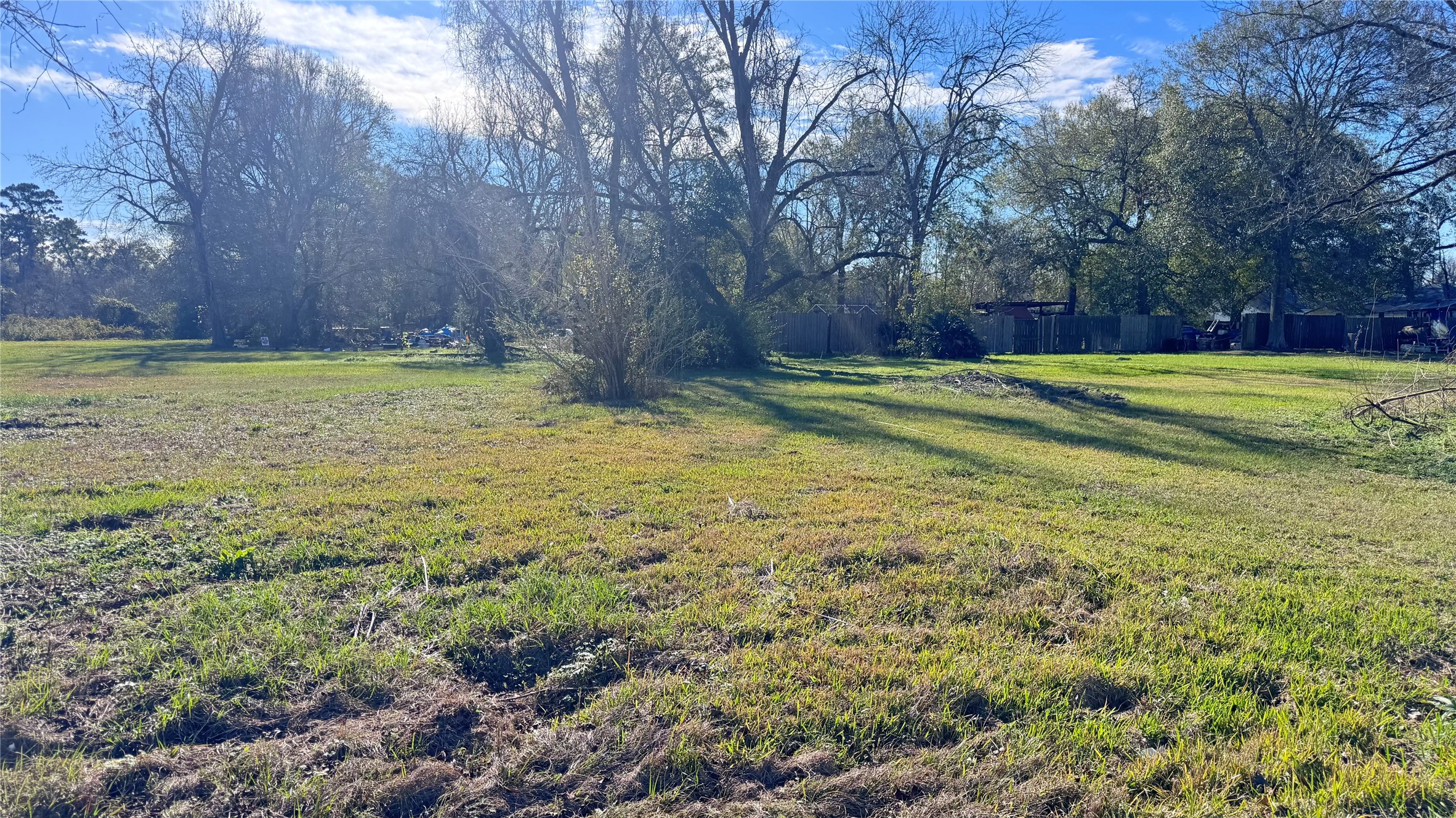 709 East Young Street Dayton, TX 77535 - Photo 2 of 6 a view of a backyard with large trees