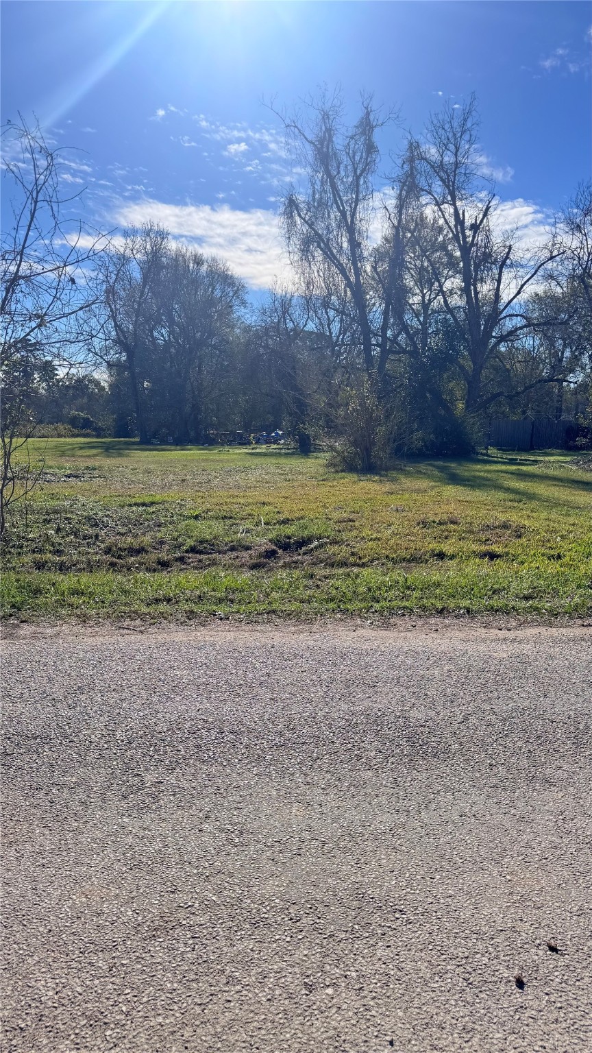 709 East Young Street Dayton, TX 77535 - Photo 3 of 6 a view of a yard and an ocean beach