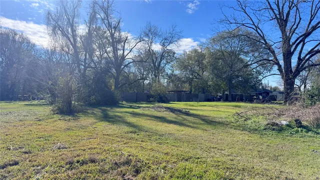 a view of a backyard with large trees