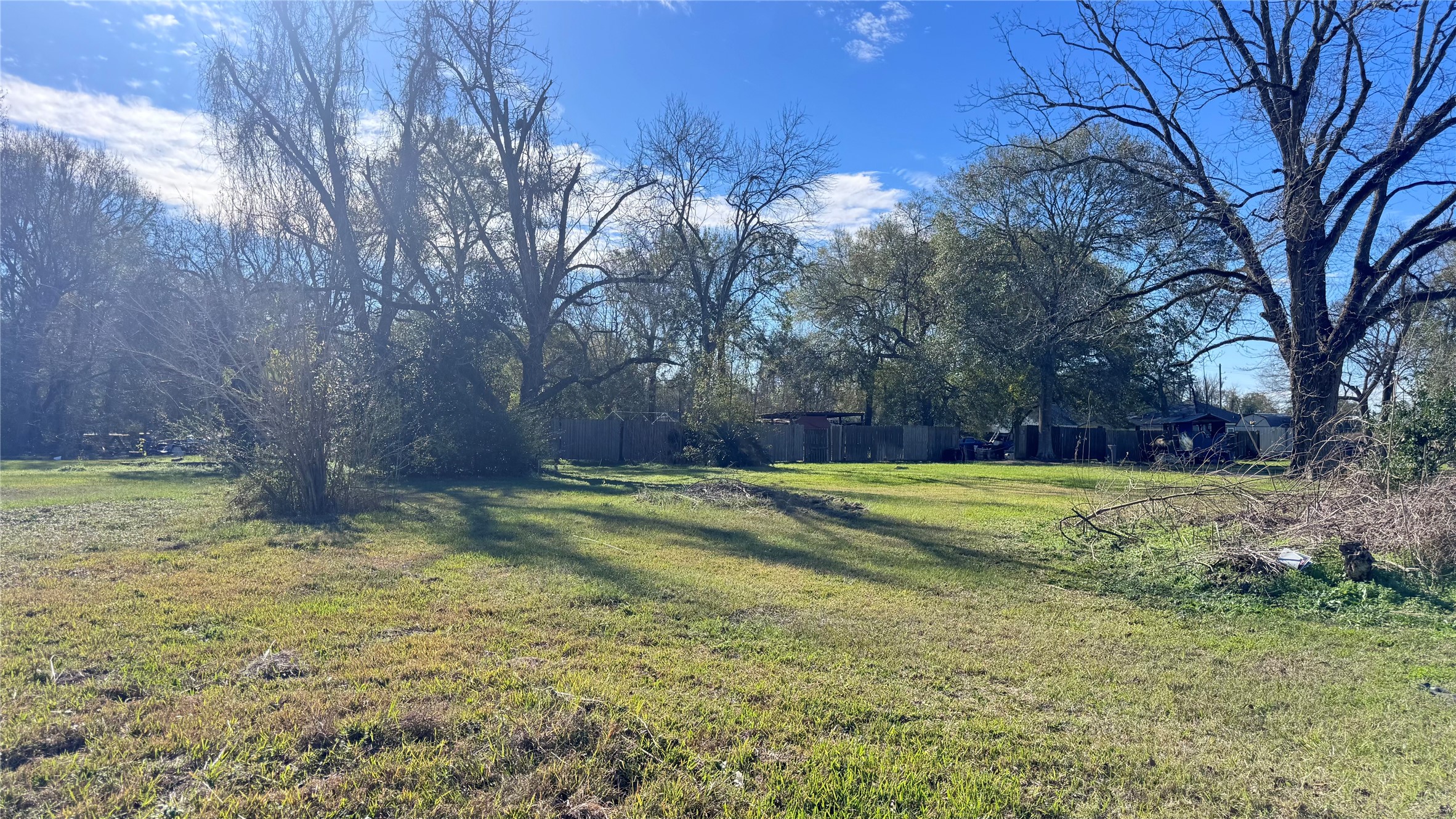 709 East Young Street Dayton, TX 77535 - Photo 4 of 6 a view of a backyard with large trees