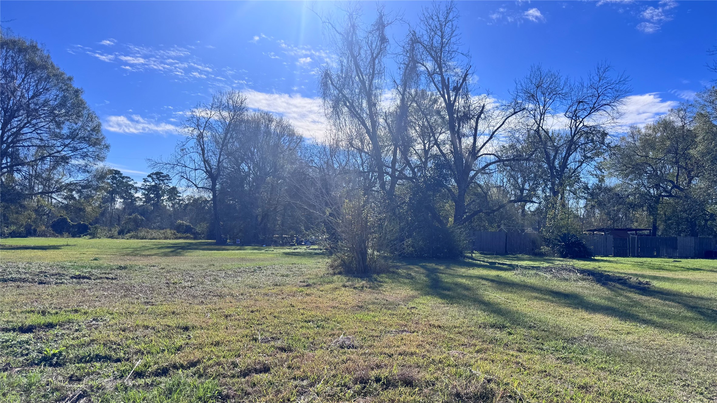 709 East Young Street Dayton, TX 77535 - Photo 5 of 6 a view of a backyard
