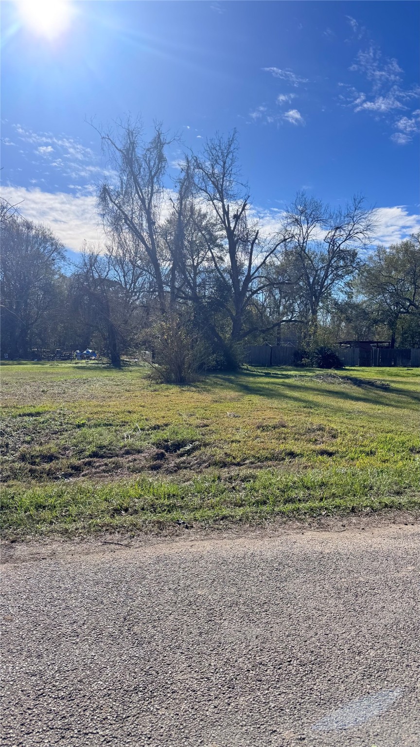 709 East Young Street Dayton, TX 77535 - Photo 6 of 6 a view of a ocean view