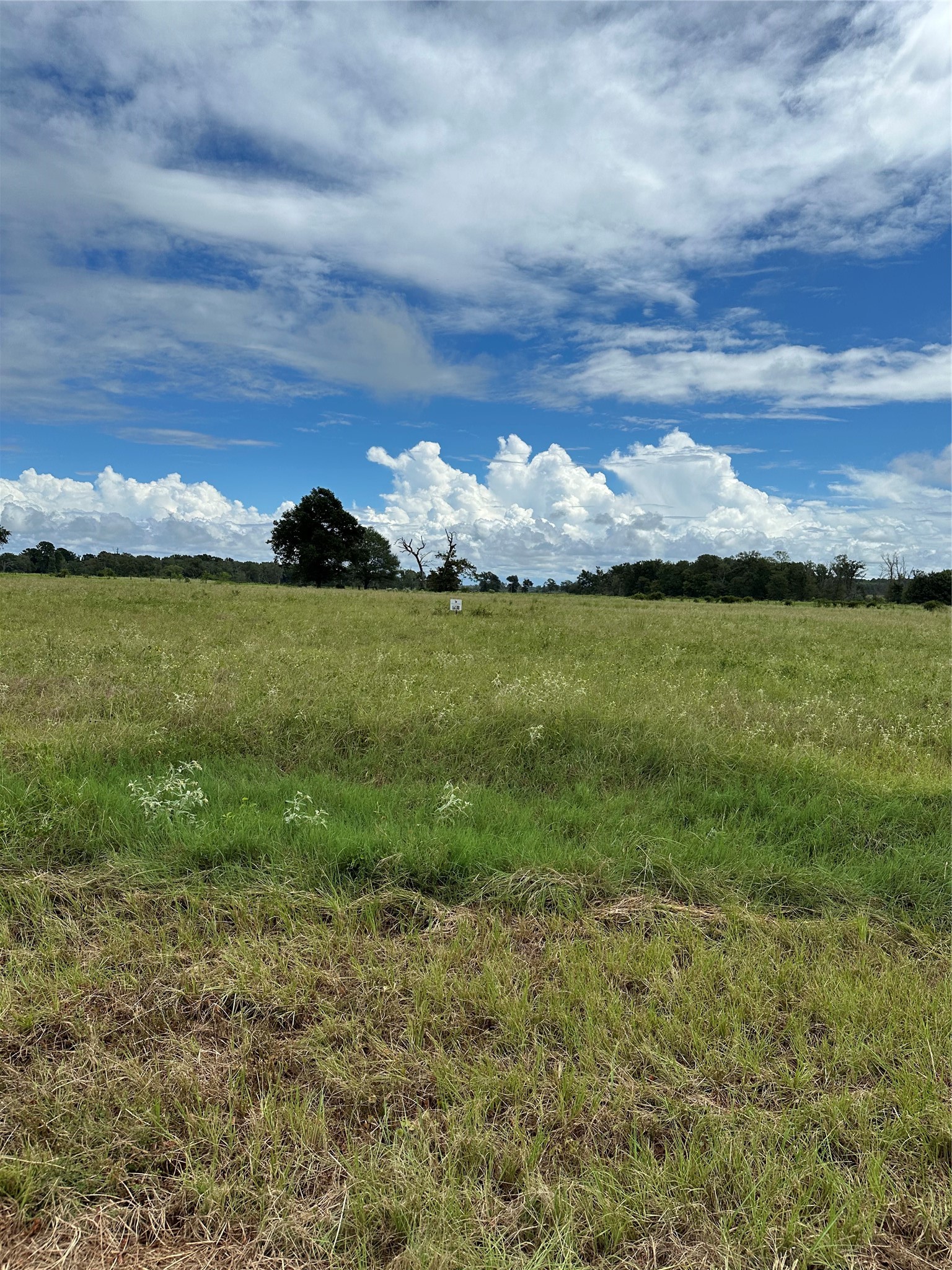Lot 47 10.01 Acres of prime pasture land