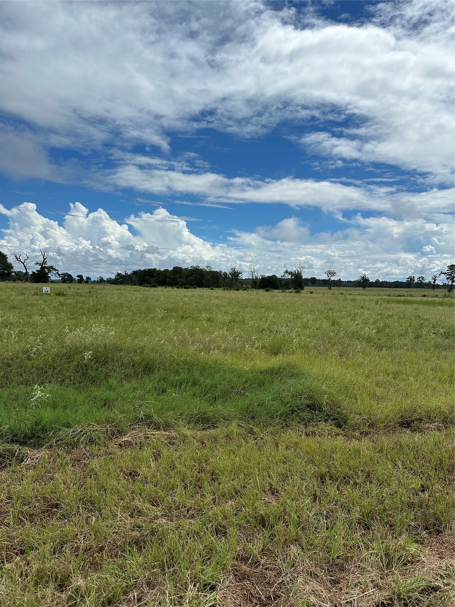 2316 Tr 47 Tr48 Centerville Tx 75833 Centerville, TX 75833 - Photo 2 of 9 Lot 47 10.01 Acres of prime pasture land