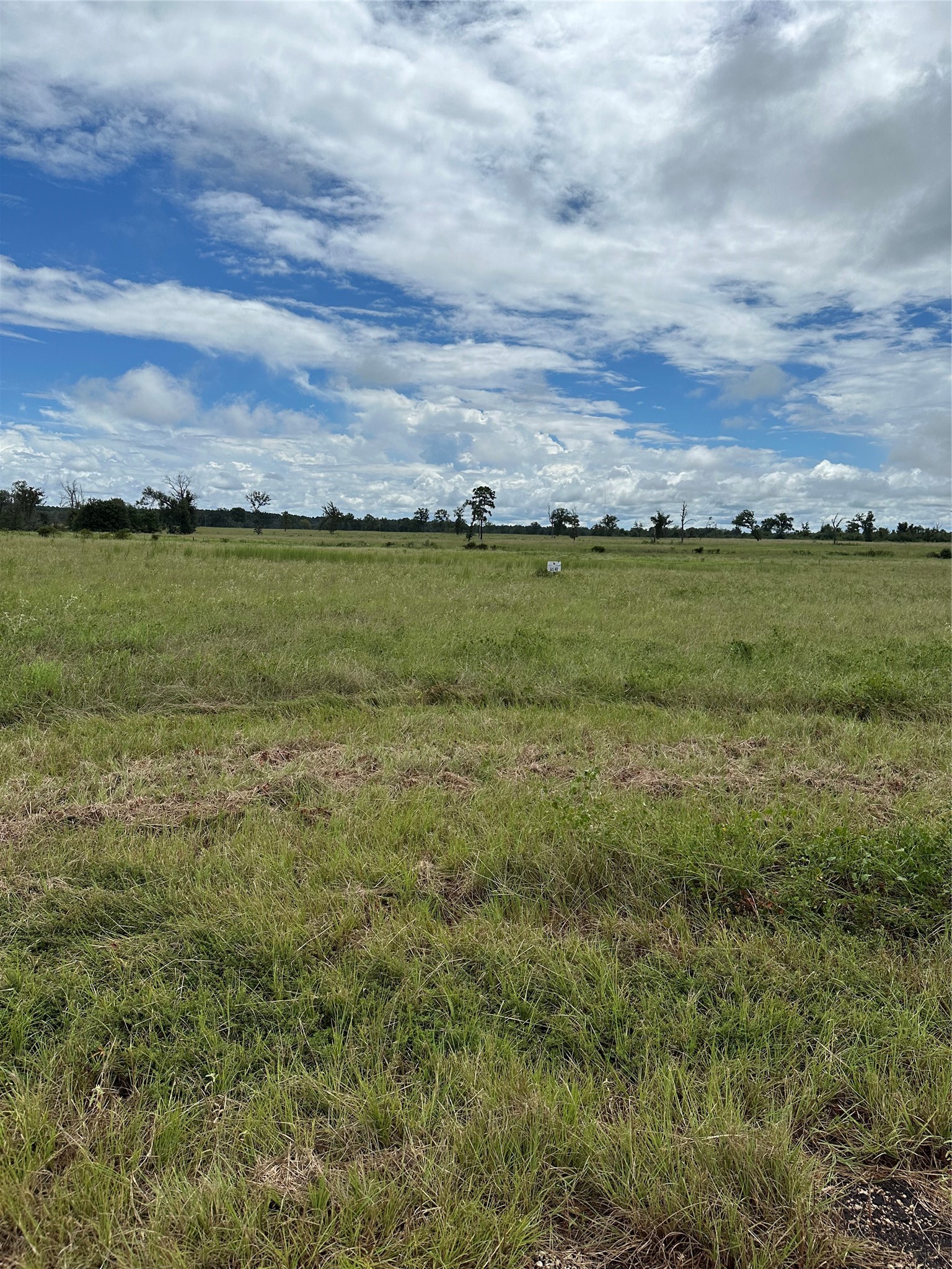 2316 Tr 47 Tr48 Centerville Tx 75833 Centerville, TX 75833 - Photo 3 of 9 Lot 48 10.01 Acres of prime pasture land
