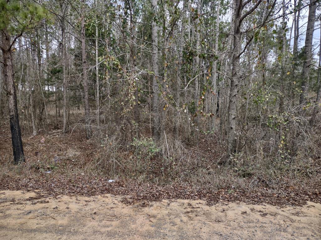 1667 Jimmy Wells Road Ellaville, GA 31806 - Photo 1 of 1 Main View