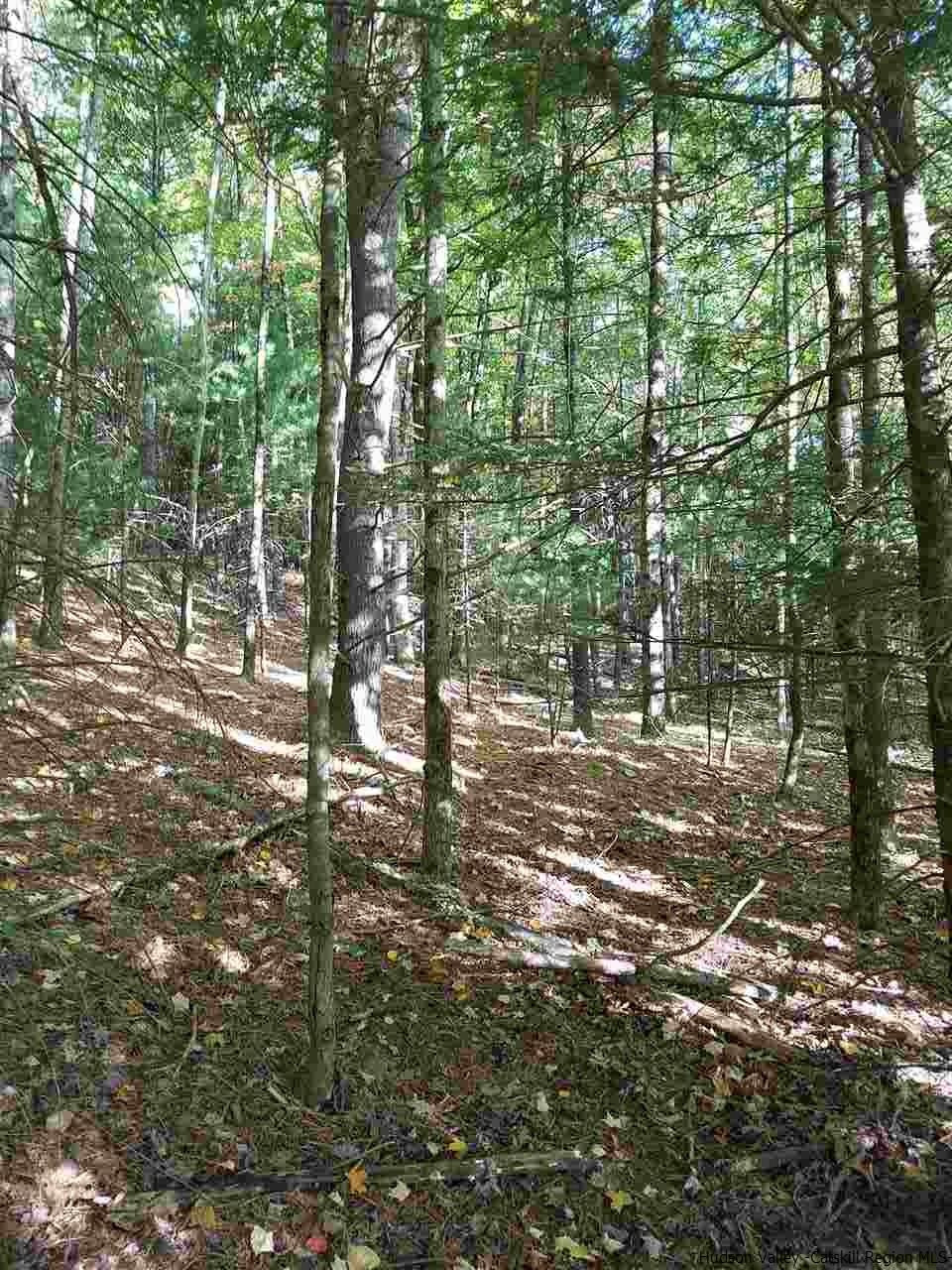 Lot 5 Lot Road Kerhonkson, NY 12446 - Photo 2 of 5 Photo 2