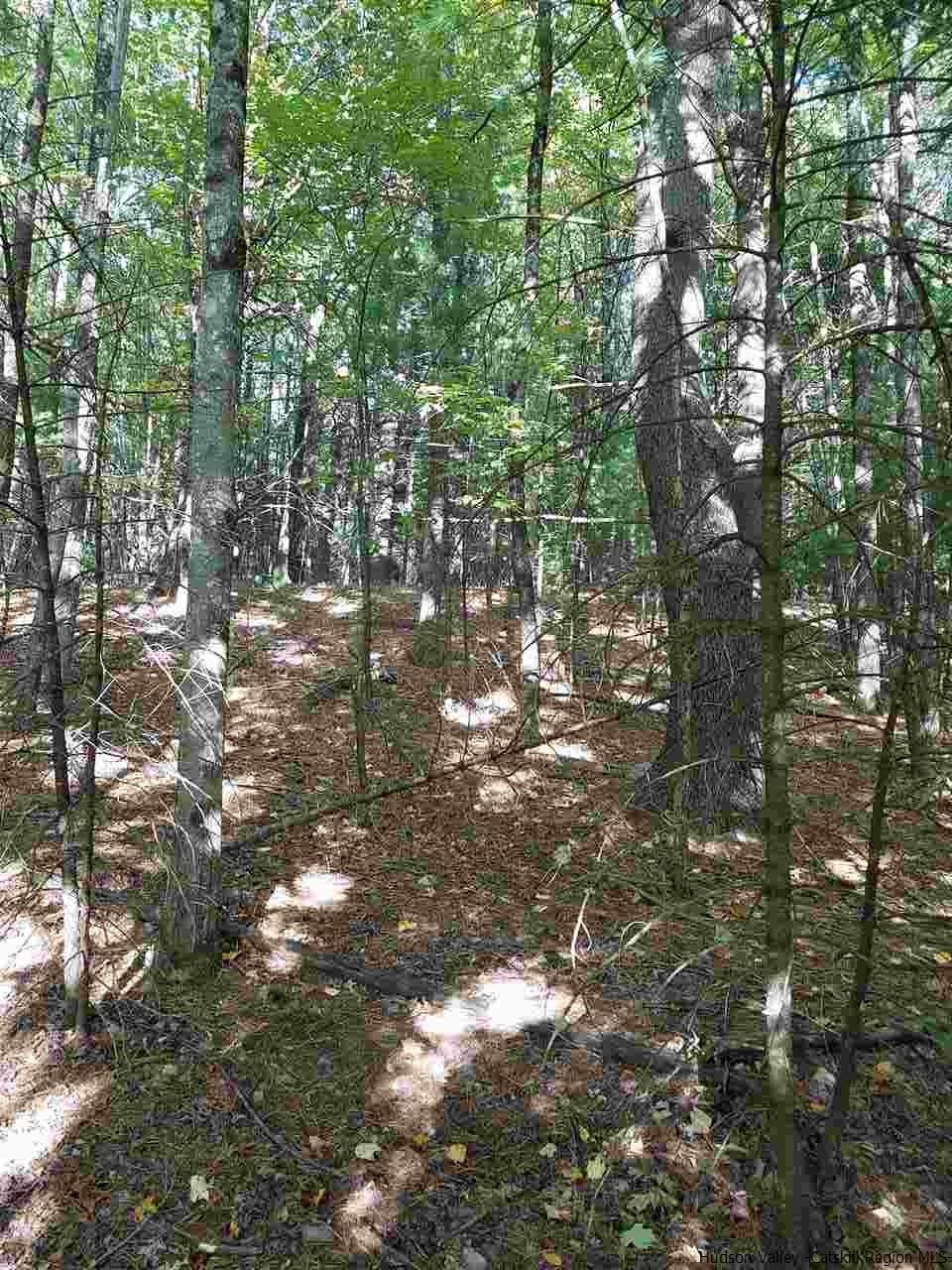 Lot 5 Lot Road Kerhonkson, NY 12446 - Photo 3 of 5 Photo 3