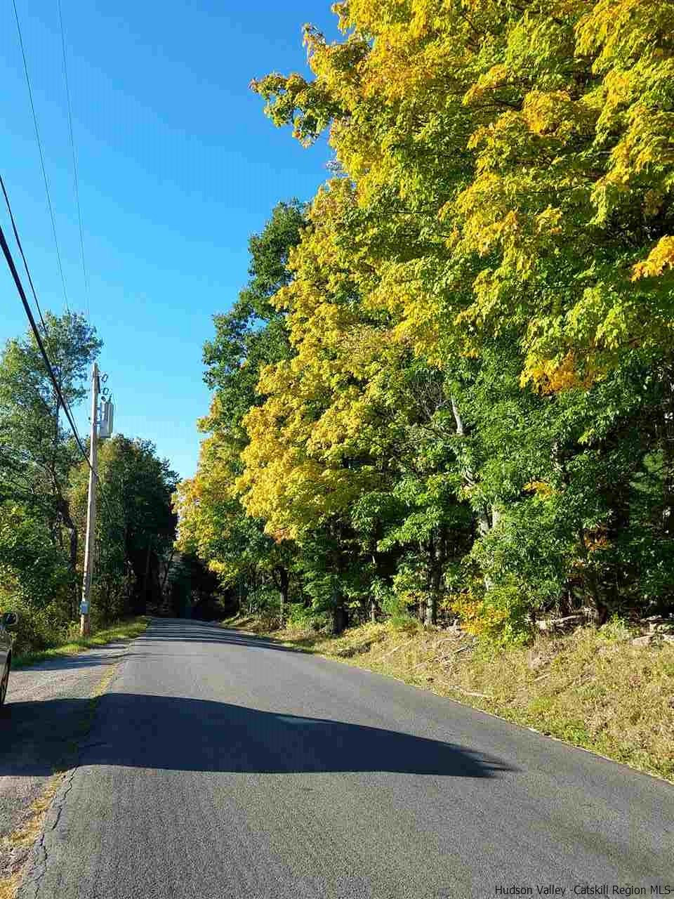 Lot 5 Lot Road Kerhonkson, NY 12446 - Photo 4 of 5 Photo 4