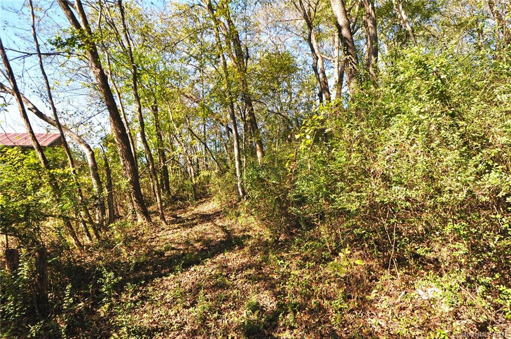 Tbd River Road Hot Springs, NC 28743 - Photo 4 of 9 Gallery Image 4