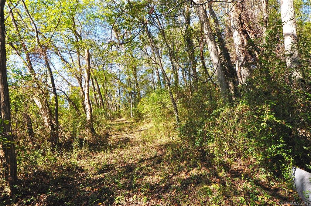 Tbd River Road Hot Springs, NC 28743 - Photo 6 of 9 Gallery Image 6