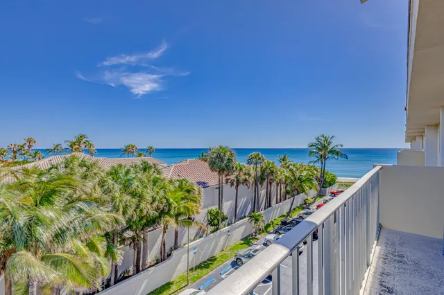 a view of a flower in a garden