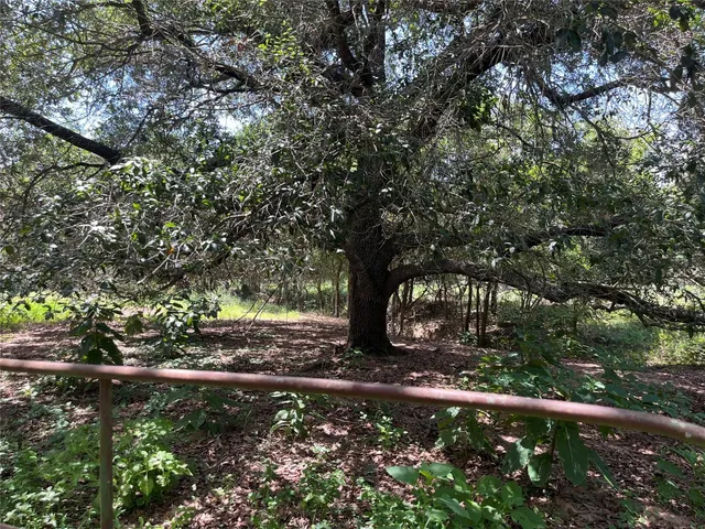 $299,500 | 354 Lower Red Rock Road, Bastrop, TX 78602