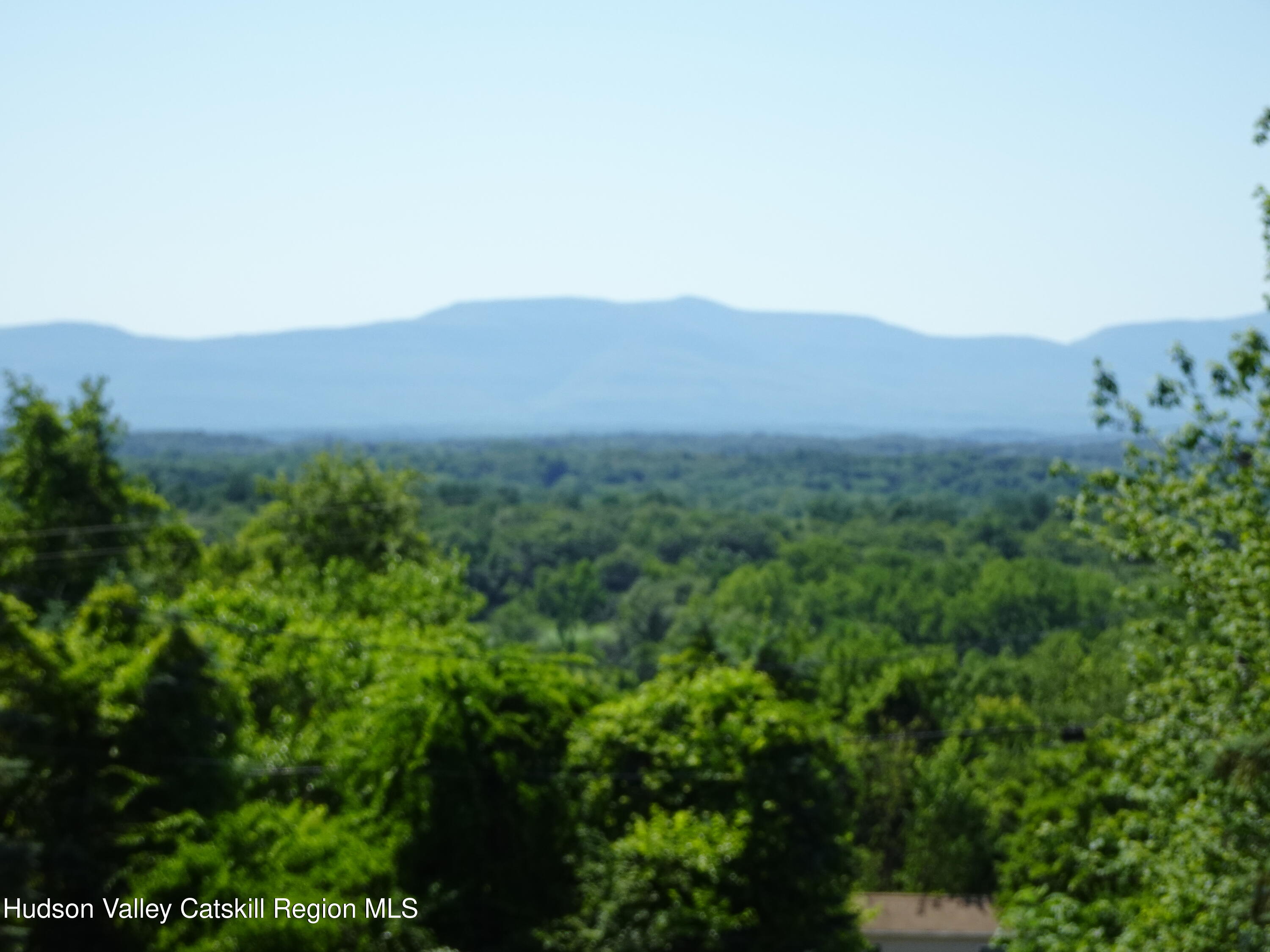 135 Millbrook Road Hudson, NY 12534 - Photo 37 of 40 a view of a city with lush green forest