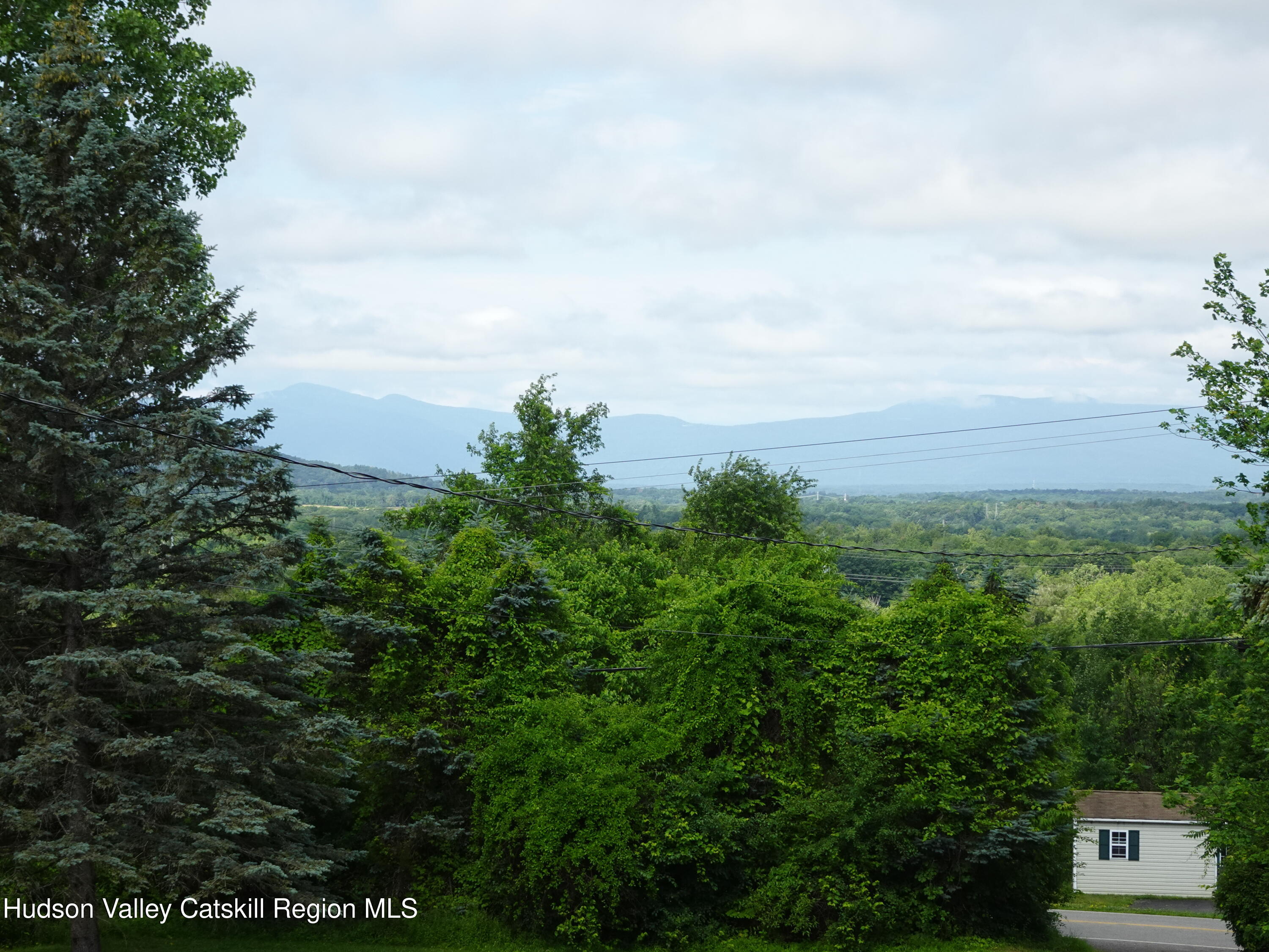 135 Millbrook Road Hudson, NY 12534 - Photo 9 of 40 view of a bunch of trees