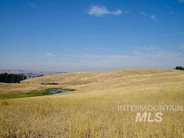 Tbd Tbd Ditch Creek Road Council, ID 83612 - Photo 3 of 11