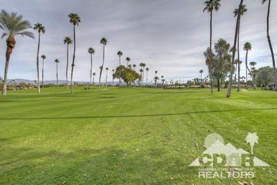 31 Medina Way Rancho Mirage, CA 92270 - Photo 16 of 25 a view of a big yard with a palm trees
