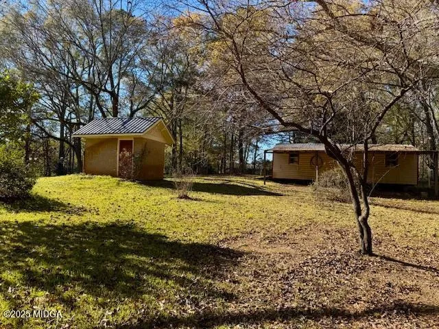 a view of a yard with a large tree