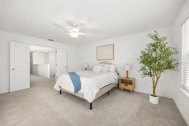 a spacious bedroom with a bed and a plant