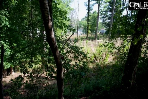 $155,000 | 415 Alice Harris Road, Prosperity, SC 29127