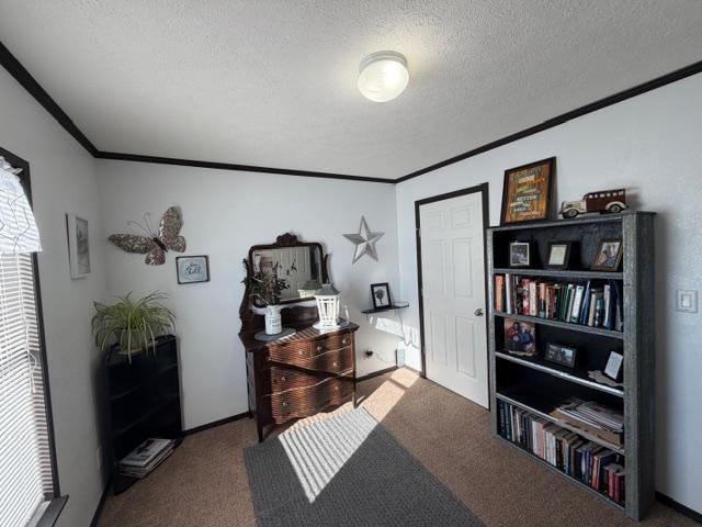 46112 Co Highway 14 Perham, MN 56573 - Photo 27 of 48