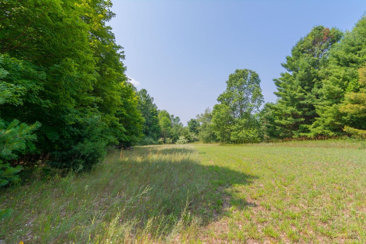 7557 South Schomberg Road Cedar, MI 49621 - Photo 39 of 52
