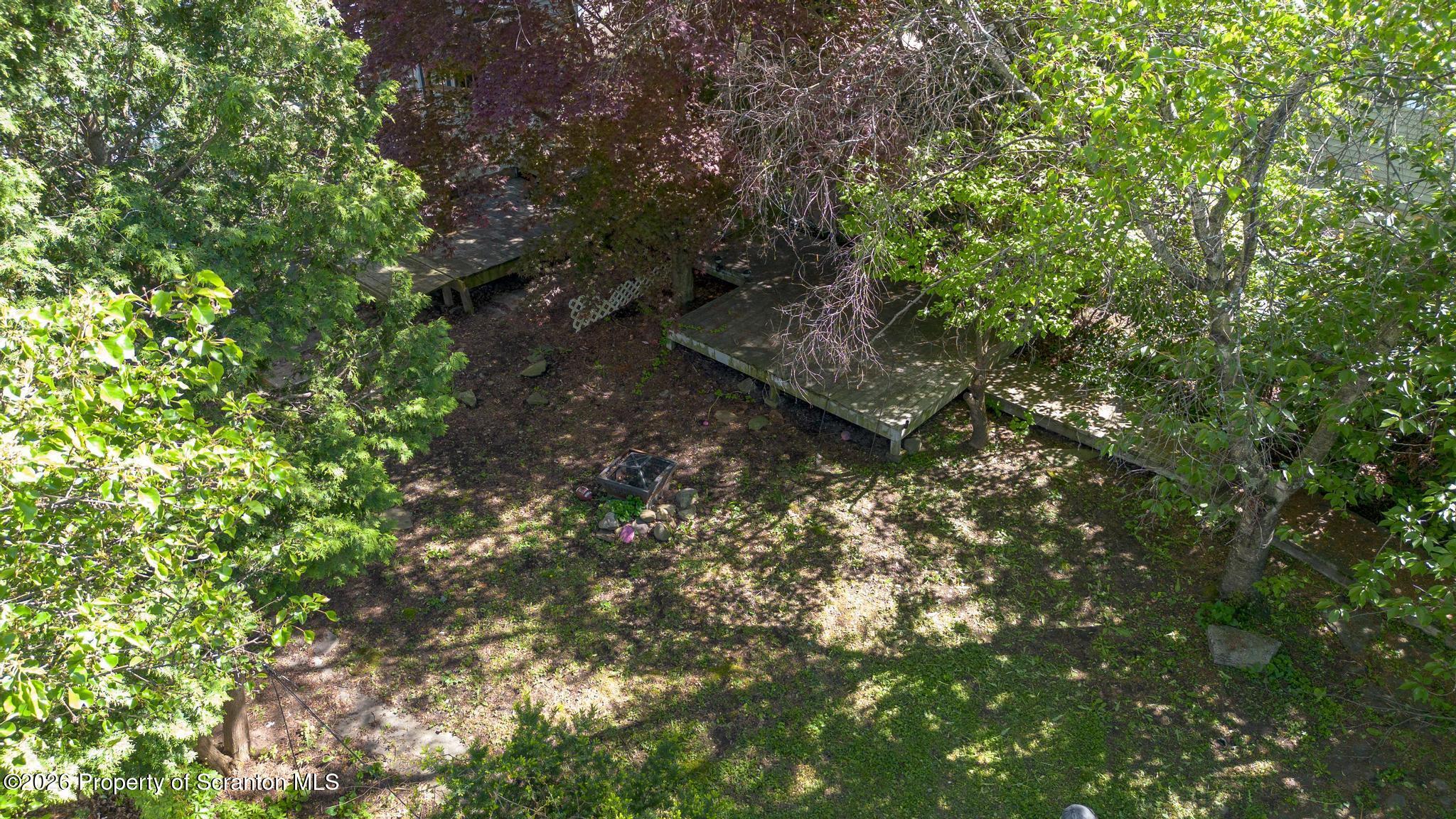 518 Prospect Avenue Scranton, PA 18505 - Photo 7 of 59 a view of a forest